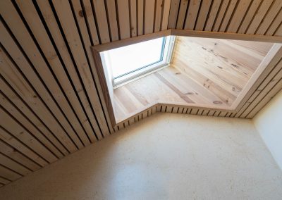compagnons detail velux